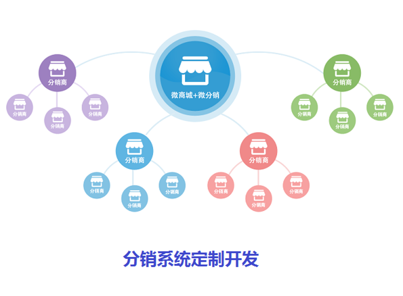 电商系统定制：选择与创新并存的解决方案